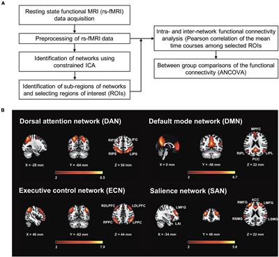 Dissociable Functional Brain Networks Associated With Apathy in Subcortical Ischemic Vascular Disease and Alzheimer’s Disease